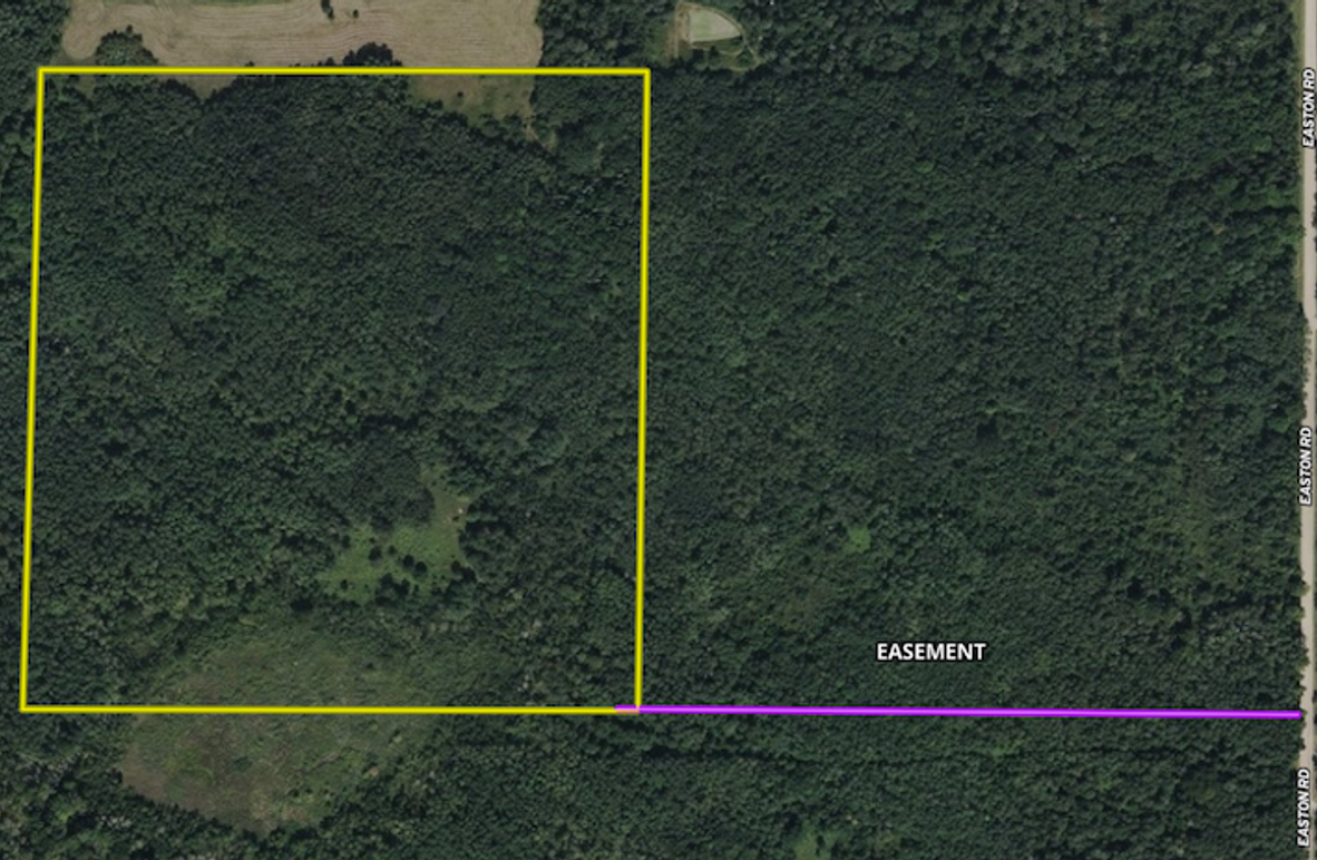 Screen Shot 2025-07-02 at 10.31.03 AM