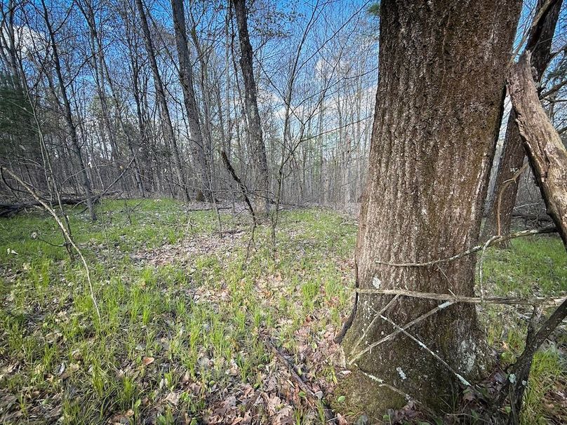 Chemung_59.8_Currier_photos_29