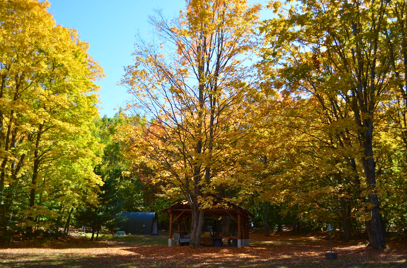 Screenshot 2025-11-11 at 12.12.20 PM