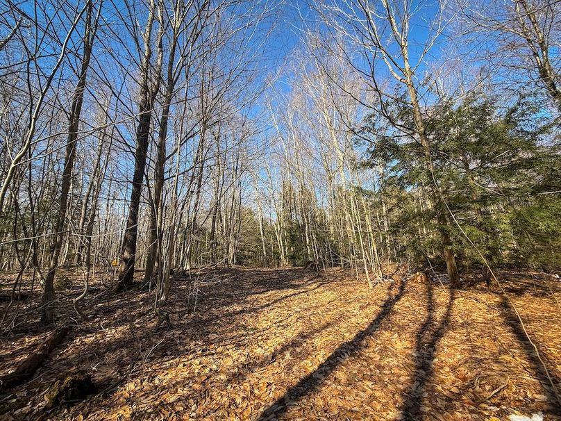 Oswego_16.32_Phillips Photo 18