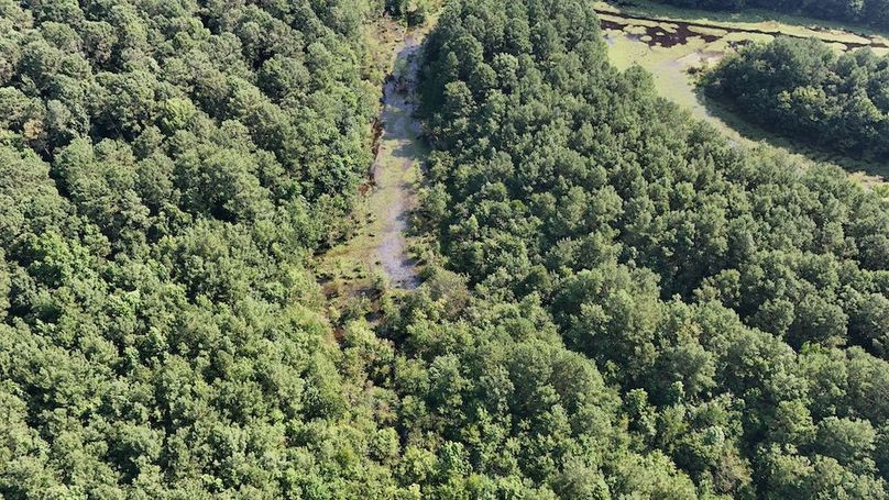 DJI_20250627095023_0098_D