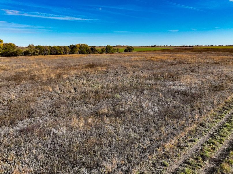 Dickinson Co, 154.5_036