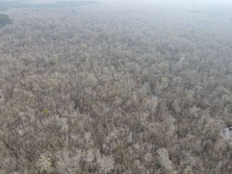 dji_fly_20260109_133104_797_1767987369746_photo