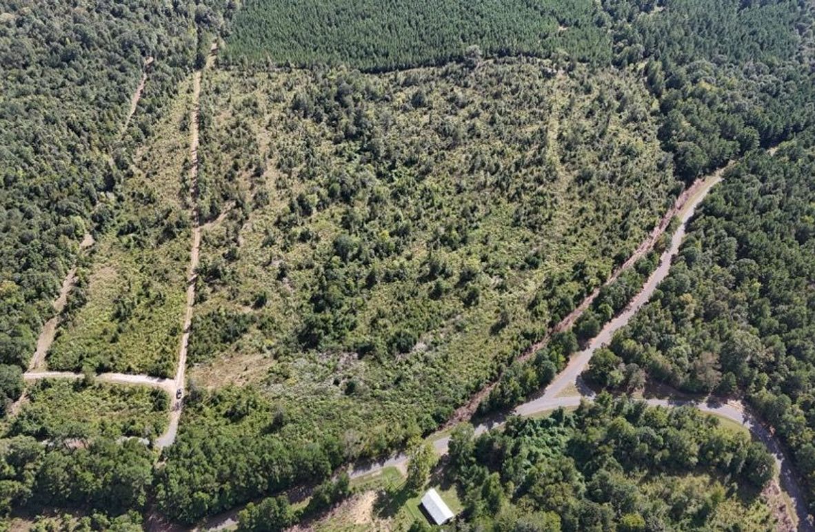 DJI_20250924035630_0750_D