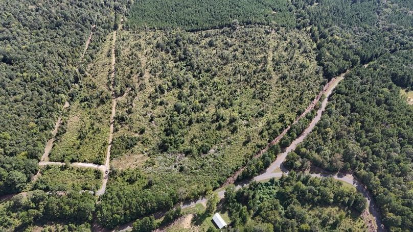 DJI_20250924035630_0750_D