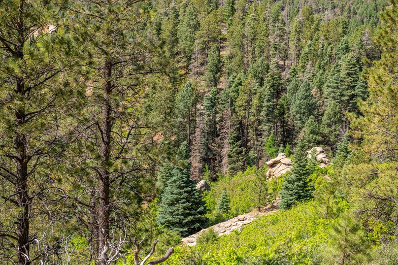 Copy of Los Alamos 508 6-24-9