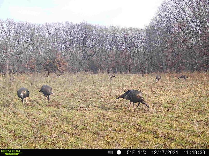 868032068782345-100-4-12172024112850-HD-SYFW5121