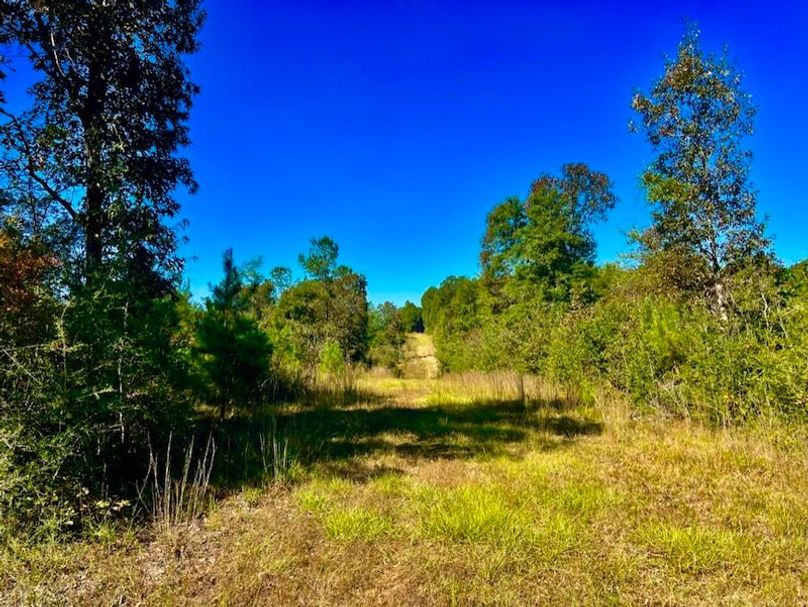 6584538D-3B44-43B5-9861-55A2BCE5C66F_1_105_c