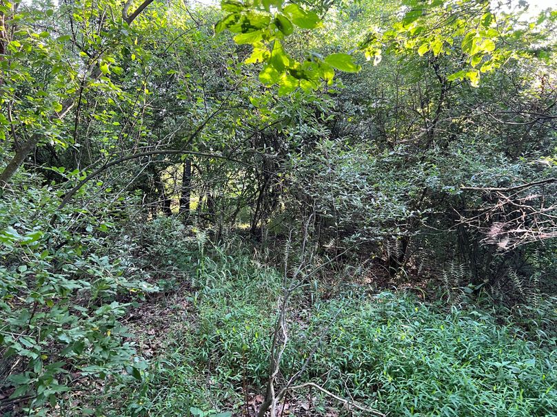 Wirt, WV 150.75 AC Tinnell-49