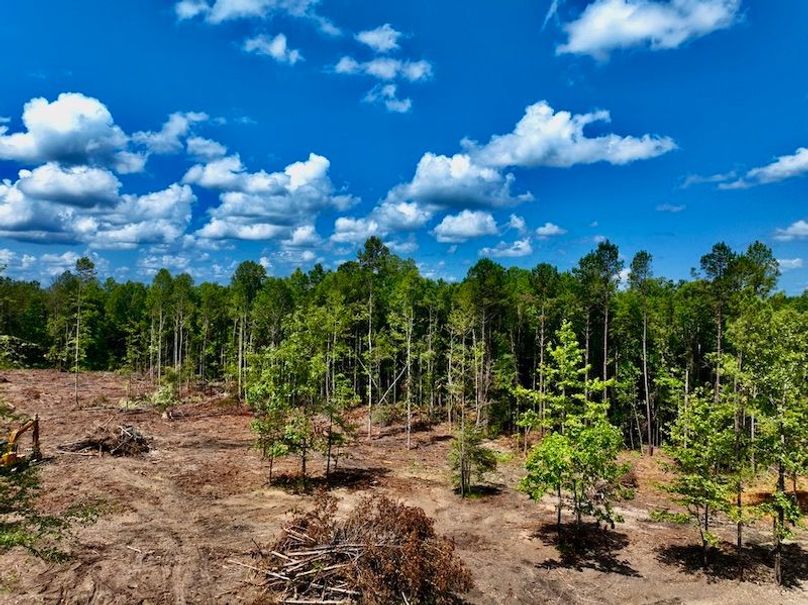 9BD7C10F-37BC-41E8-B9E6-44BE49BEEE01_1_105_c