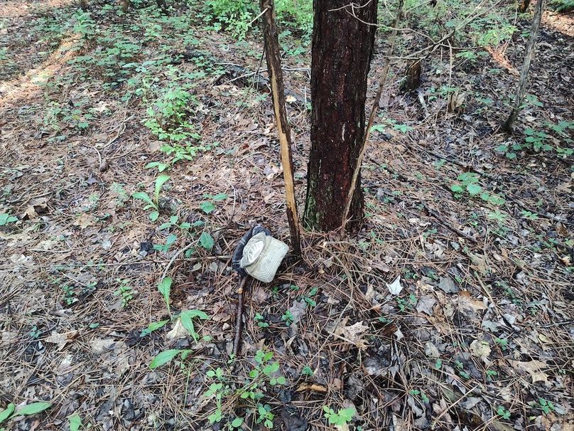 IMG_20250611_185030490