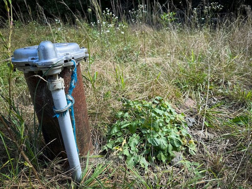 Tioga NY 232.62 Shores Photos 13