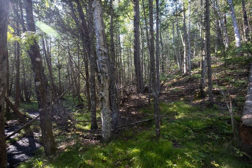 Mackinac 320 Copenhaver-60