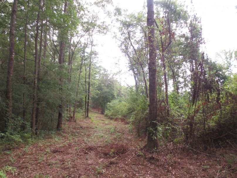 A3ADD8BA-40AD-40AC-8B0F-940AED0CD2AA