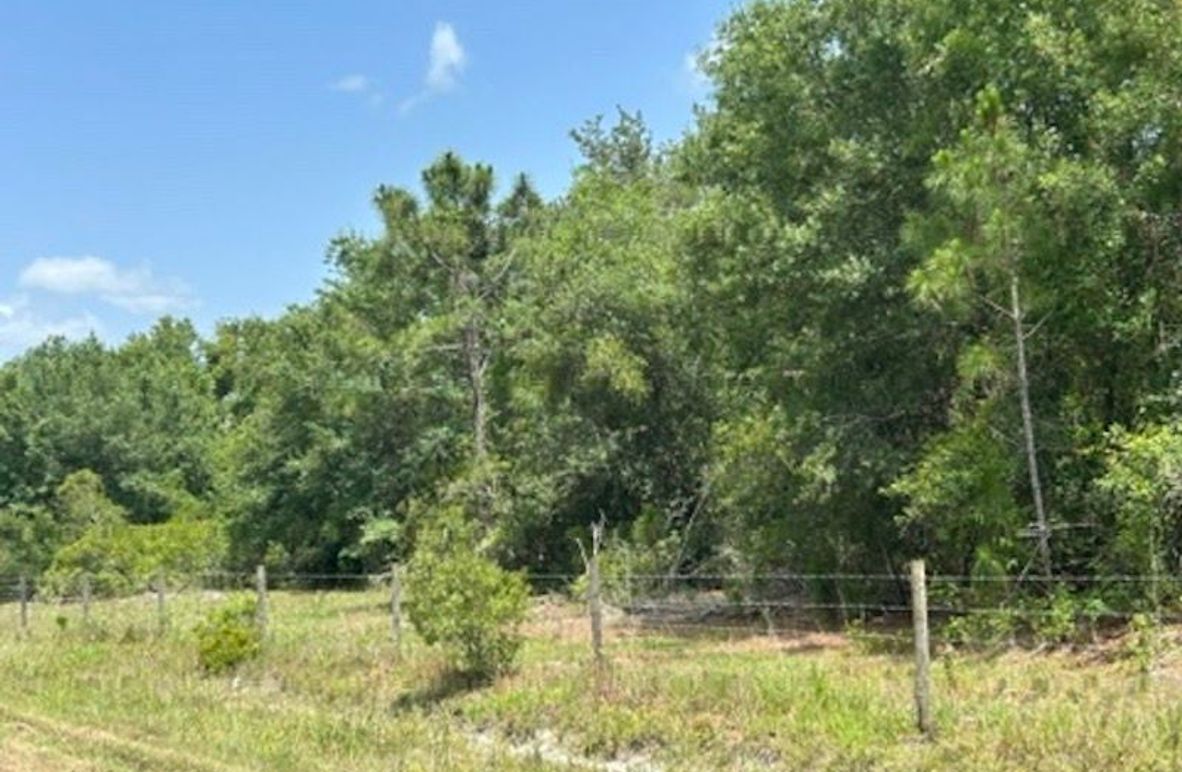 38DC0F74-FF51-4692-A633-A650077F2B2B_4_5005_c