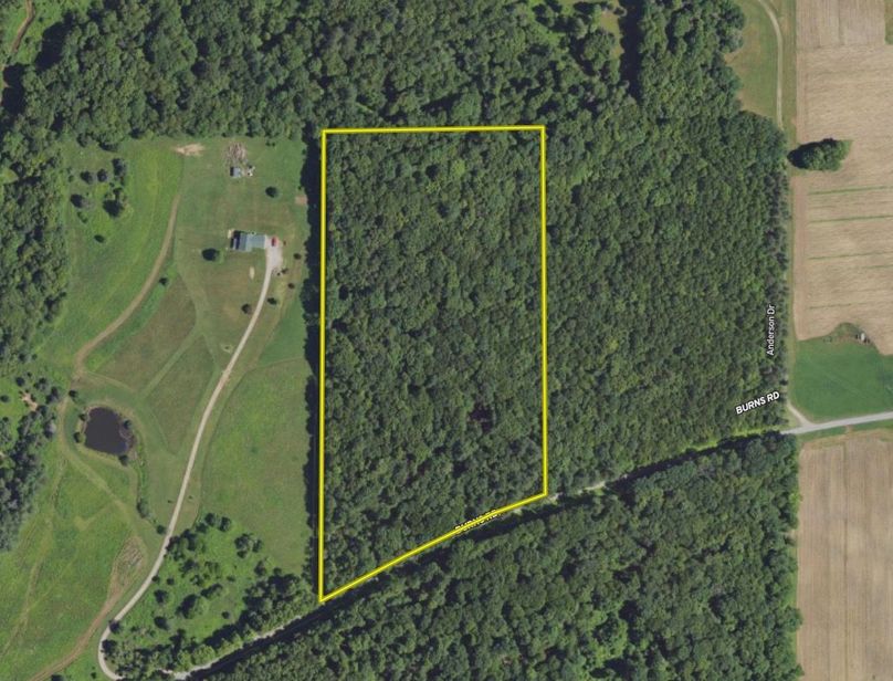 Screen Shot 2023-11-23 at 10.03.17 AM