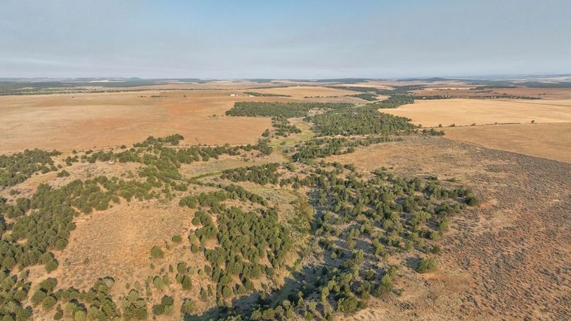 DJI_0571_1