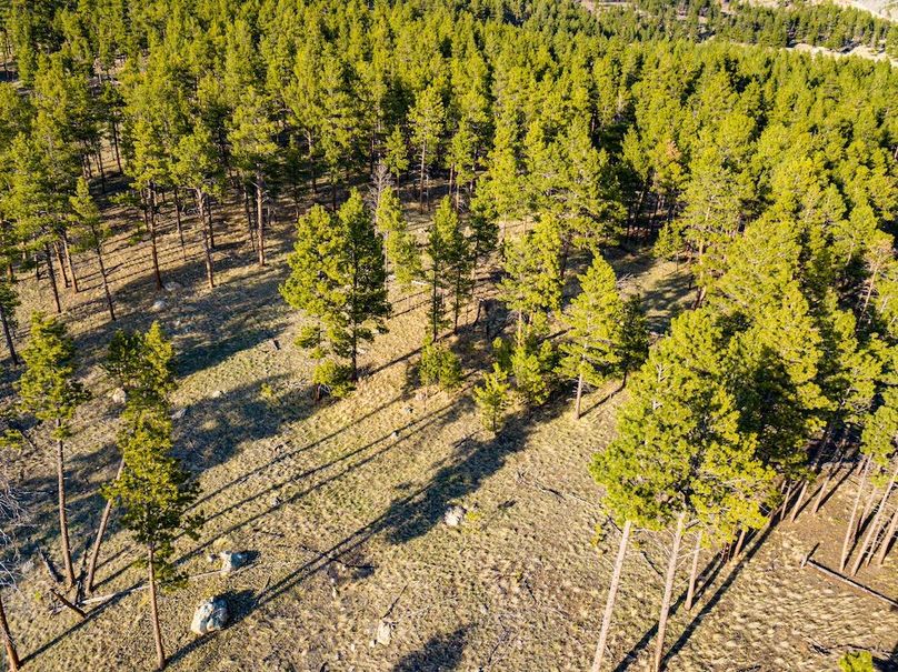 20250430-DJI_0024