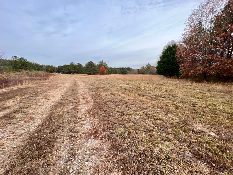 Photo 2023-11-25 07.05.39 AM