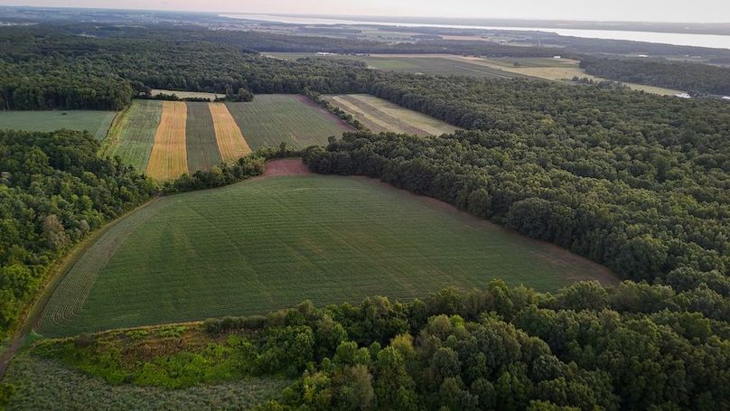 Copy of Wood Tract 3 Photo 3