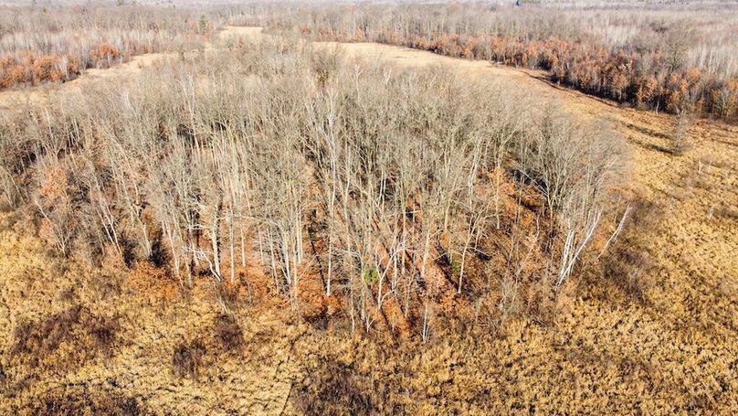 ClarK 160 WILLIAMS -35