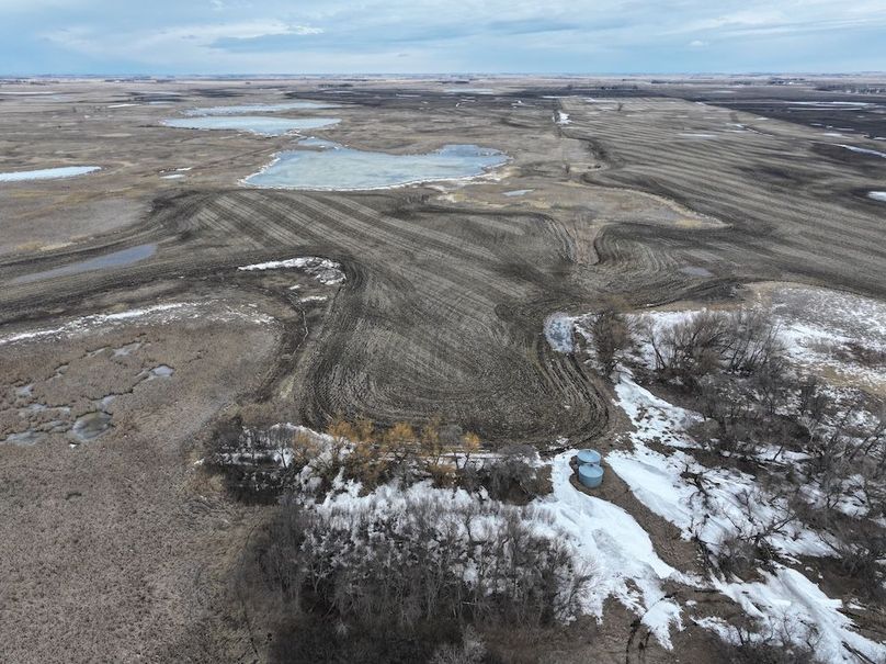 DJI_20260216150209_0085_D