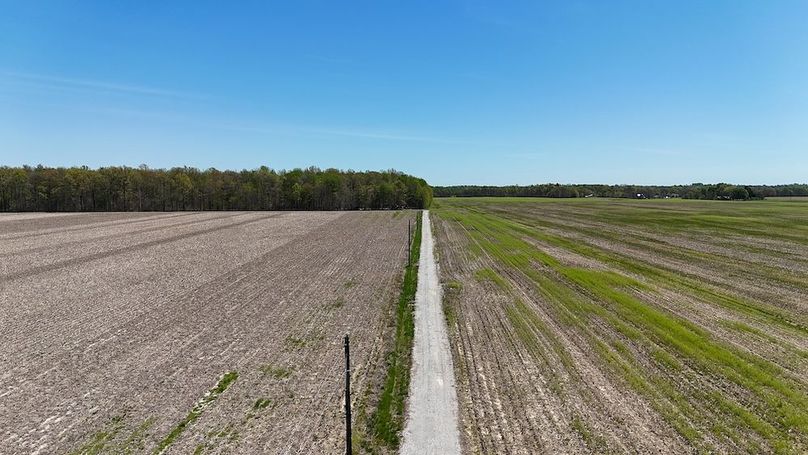 DJI_20250423130320_0412_D