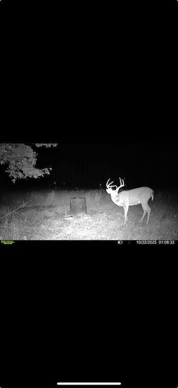 trailcam16