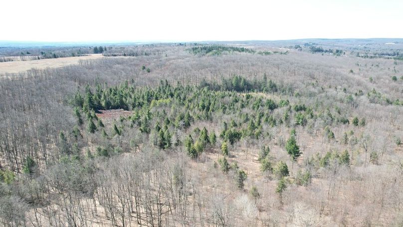 dji_fly_20250417_113212_140_1744904170541_photo