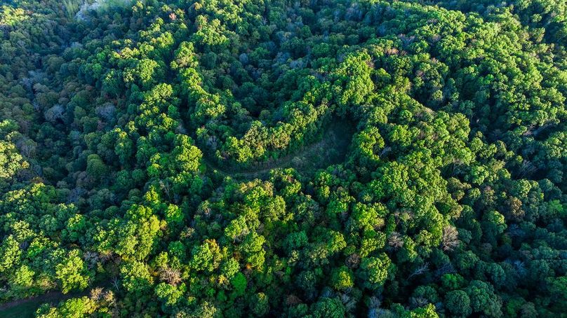 DJI_20251006051730_0020_D