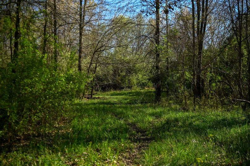 vandalia 450 (2)-2483