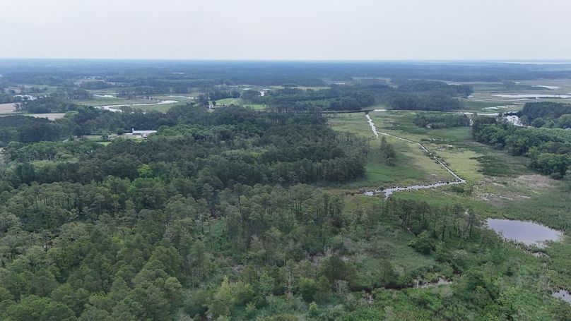 IMG5_58AC_dji_fly_20250613_102812_0008_1749852321658_photo