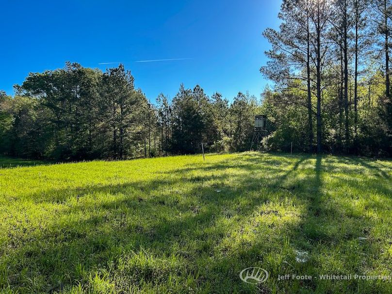 Hinds Co - 51 - Hughes-60