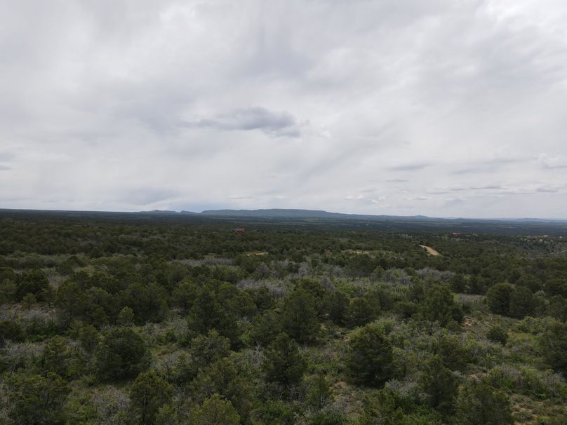 dji_export_1685968246050