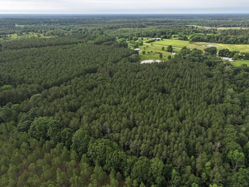 dji_fly_20250521_083944_0033_1748359423819_photo