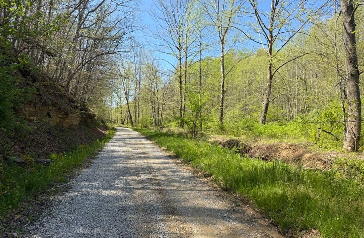 004 Trent Fork gravel road along the east boundary
