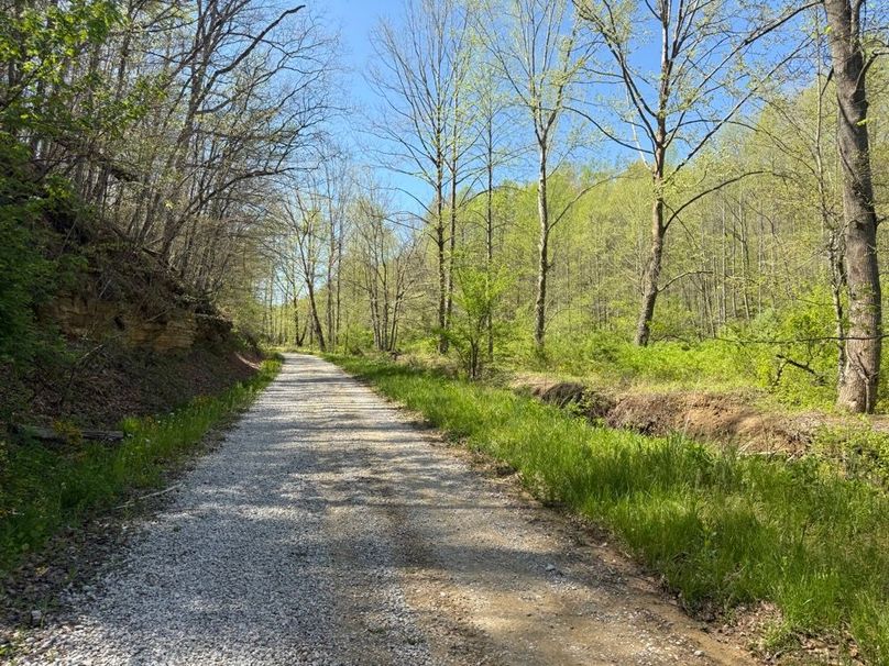 004 Trent Fork gravel road along the east boundary