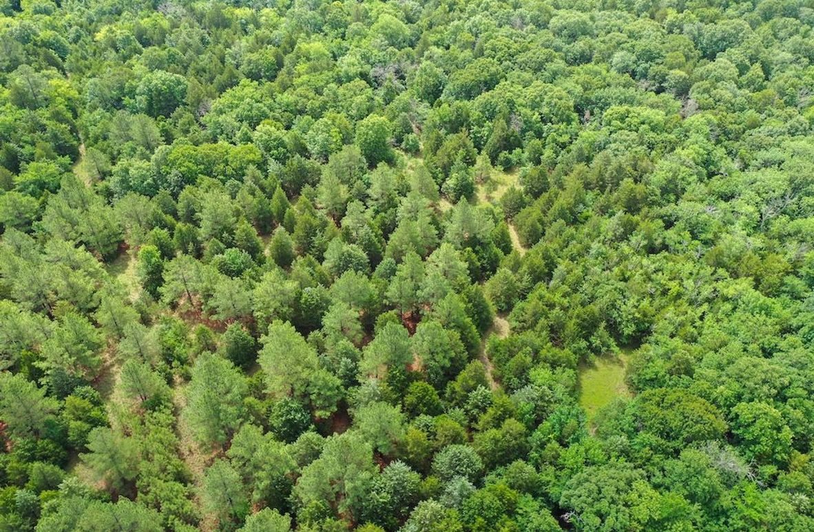 DJI_0325