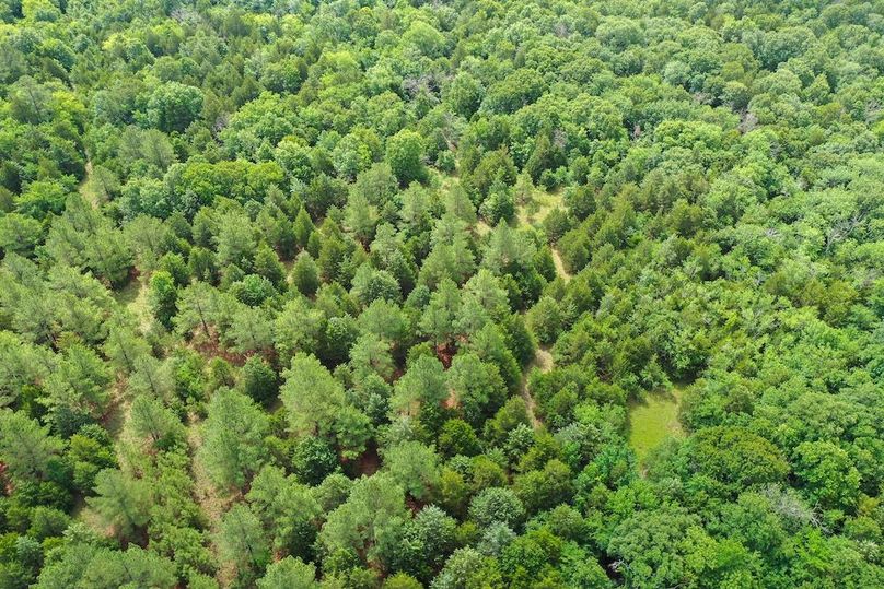 DJI_0325