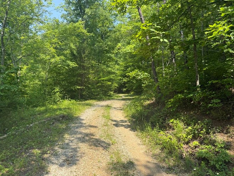 016 part of the internal gravel road-2