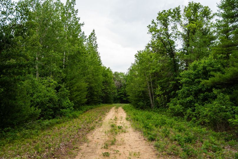 Ogemaw MI 475 Featured Pro Photo-742234