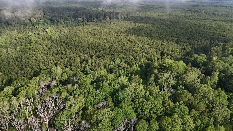 Copy of DJI_20250529205735_0521_D