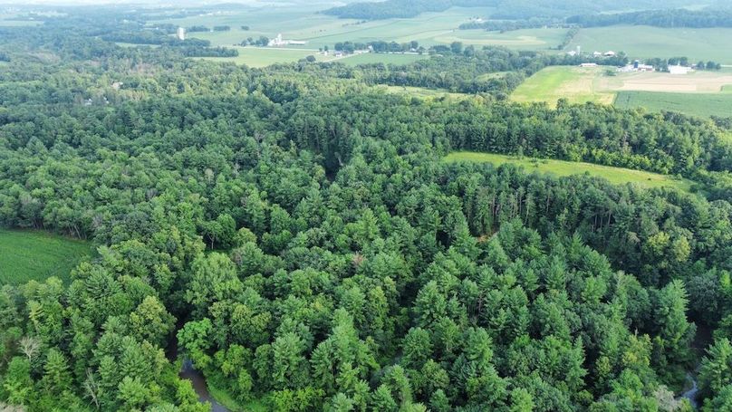 dji_fly_20240715_182150_687_1721085719989_photo_optimized