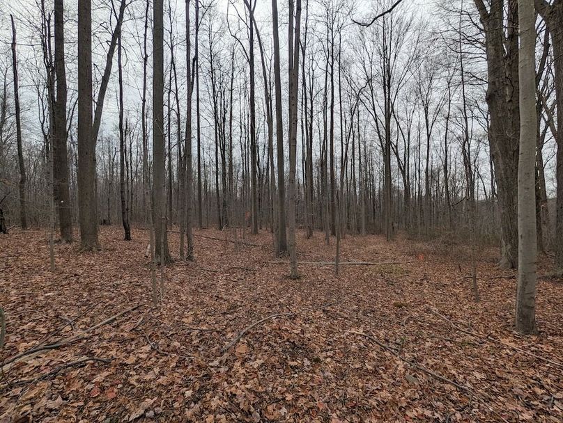 PXL_20251120_190809771