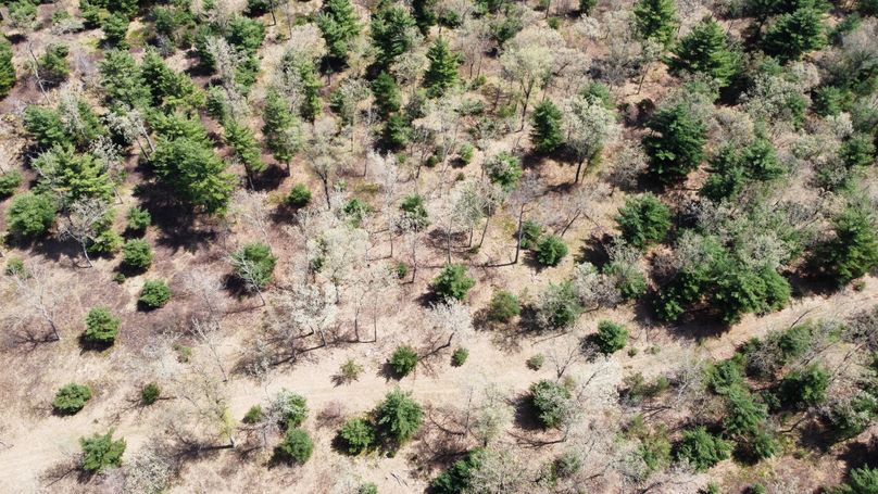 dji_fly_20230511_113814_440_1683838311983_photo_optimized