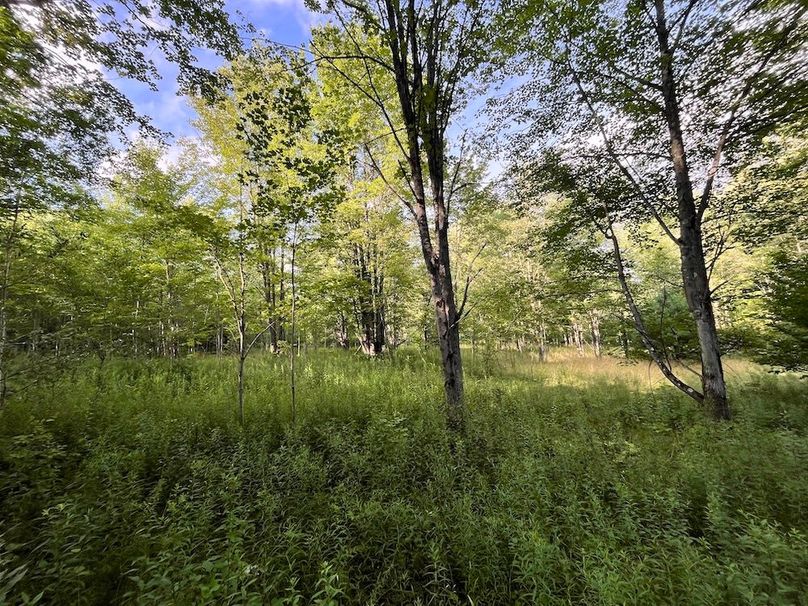 Chemung_78.26+Gutchess_Lumber_Photos_18