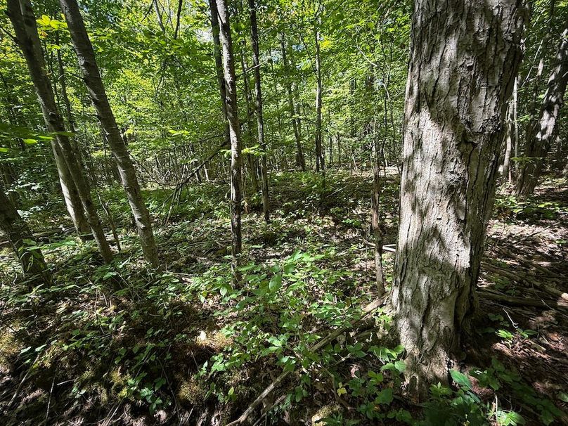 Tioga NY 64 Shores 5