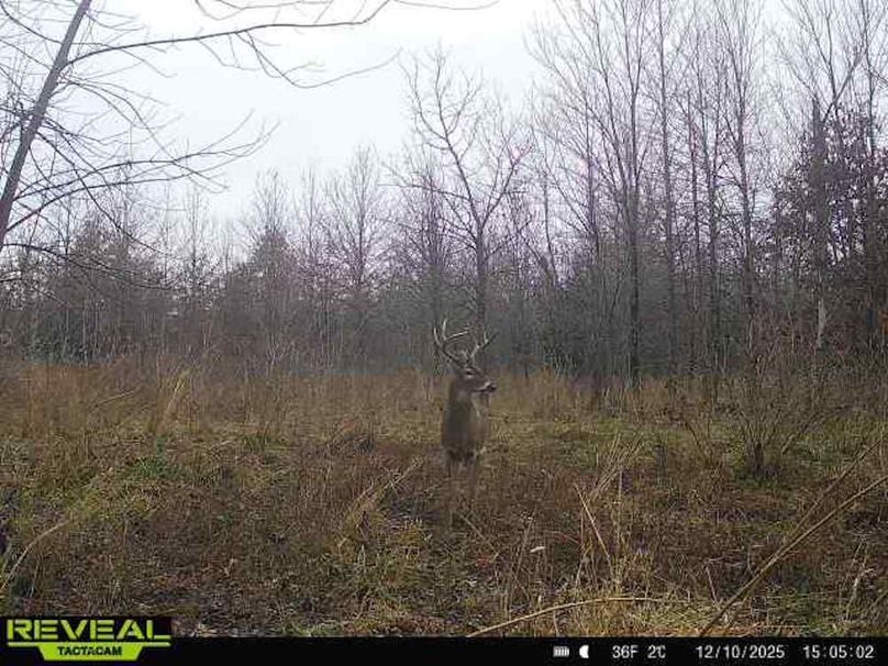 864049051945600-100-1-12102025150502-W1000010