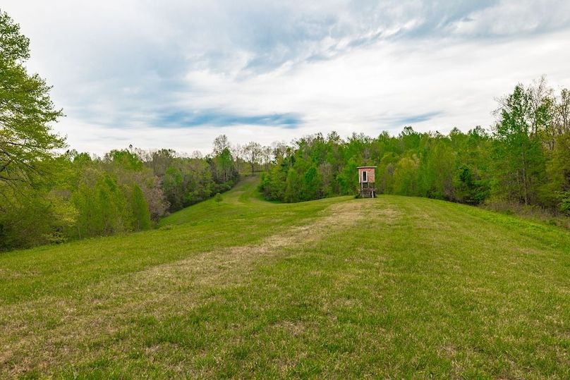 63-web-or-mls-1103 Johnny Spears Rd-49