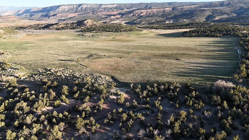 DJI_20250411074757_0086_D